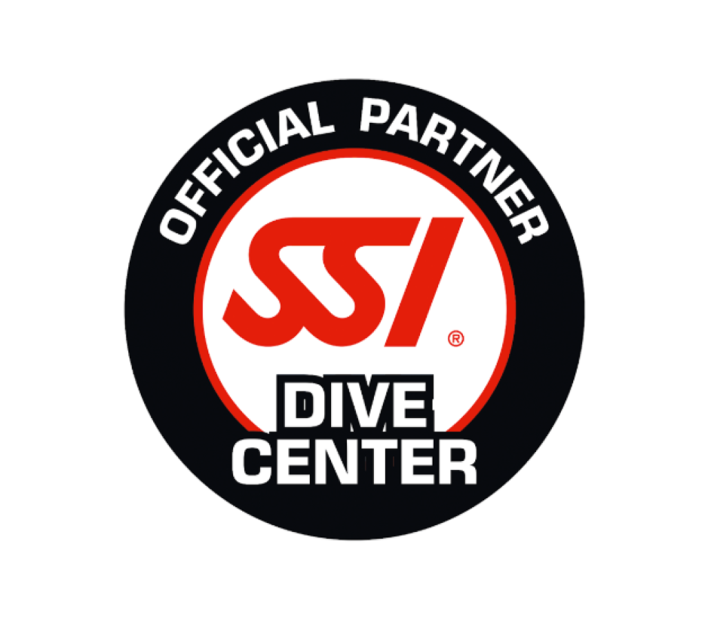 Captura de ecrã 2026-03-11 091601