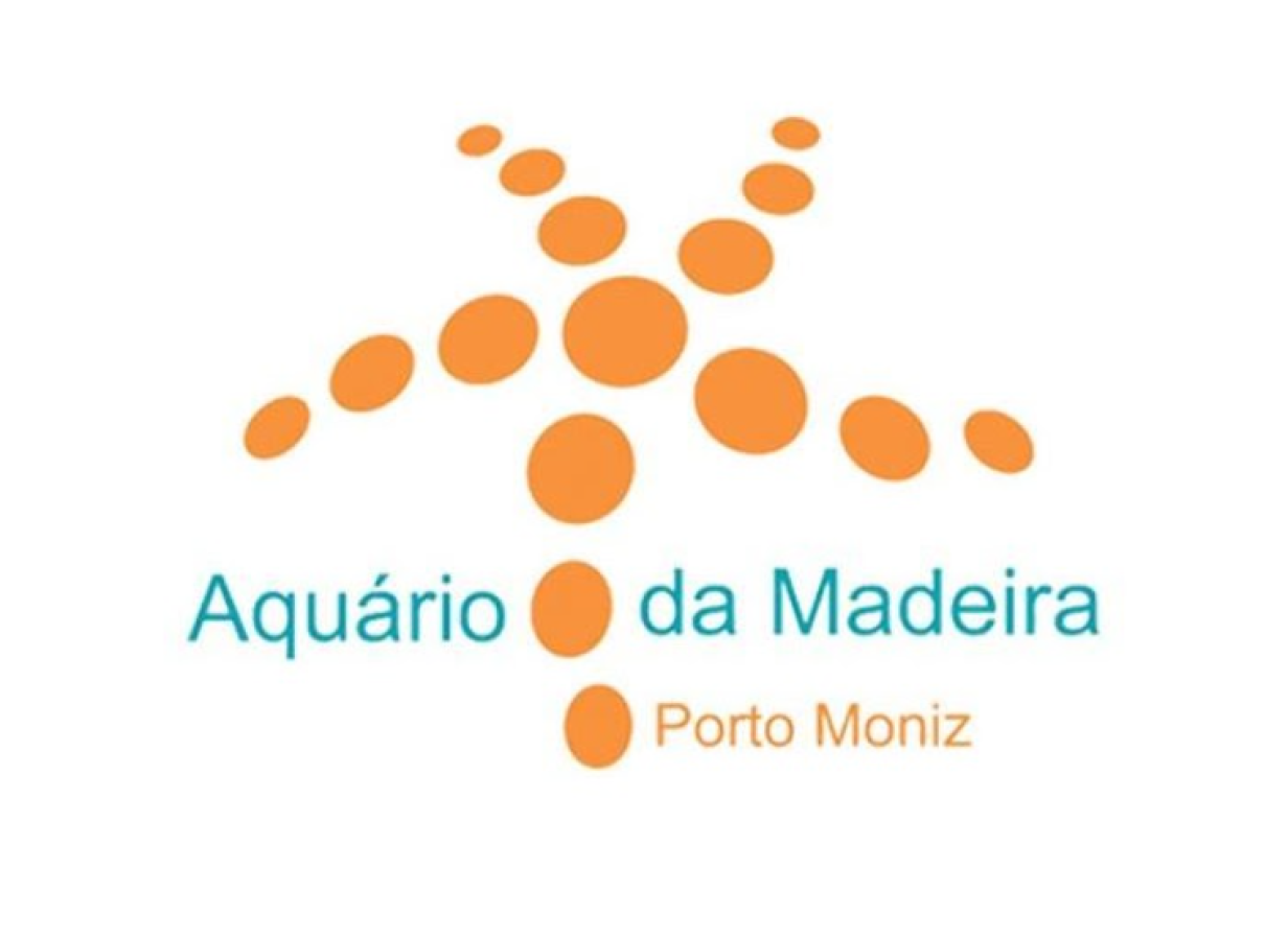 Captura de ecrã 2026-03-11 091627